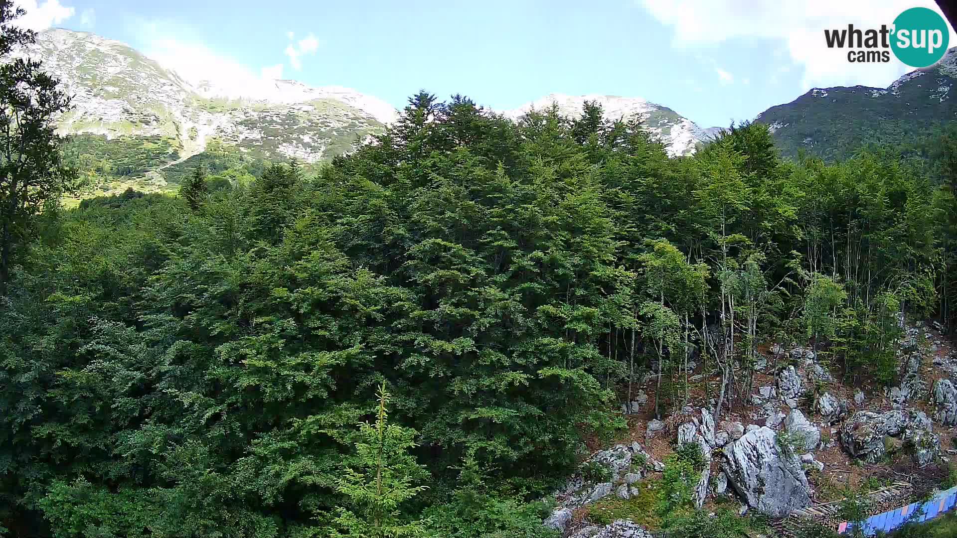 Cámara web PLANINA RAZOR (1315) | vista a Vogel y Globoko