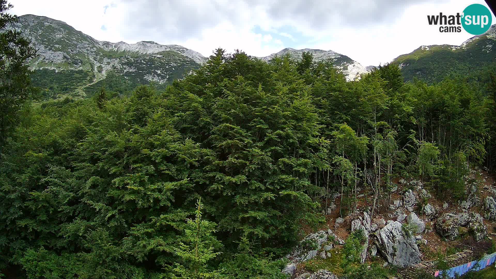 PLANINA RAZOR web kamera (1315) | pogled na Vogel i Globoko