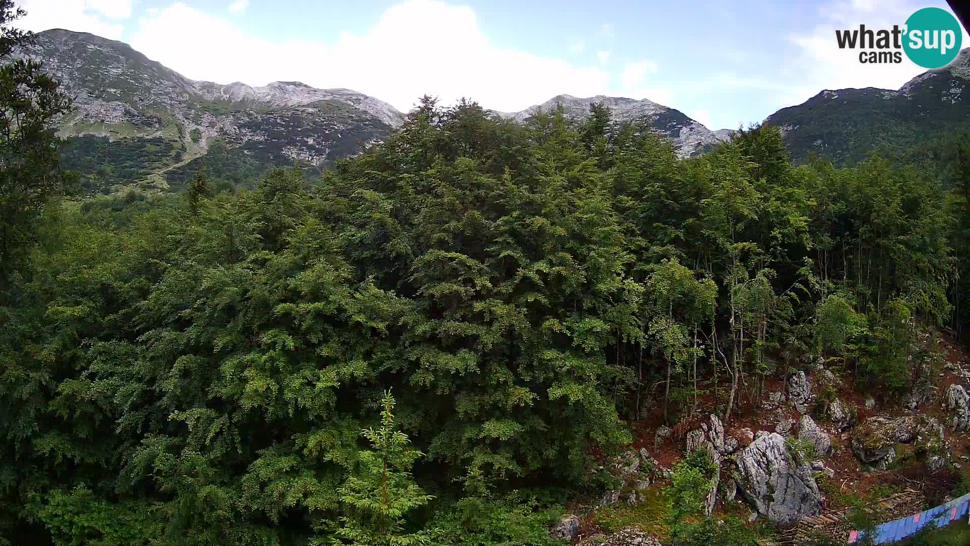 Livecam PLANINA RAZOR (1315) | vue sur Vogel et Globoko