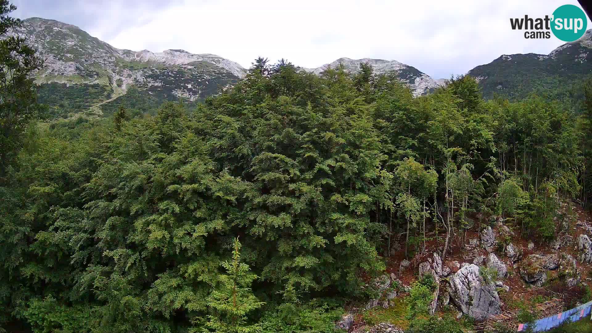Livecam PLANINA RAZOR (1315) | vue sur Vogel et Globoko