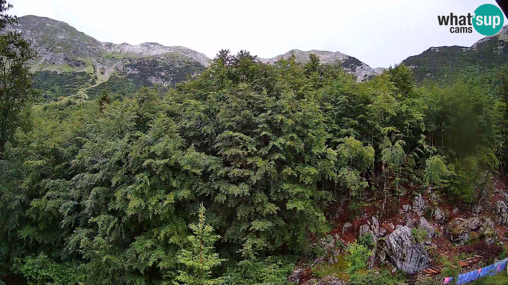 PLANINA RAZOR kamera (1315) | pogled na Vogel in Globoko