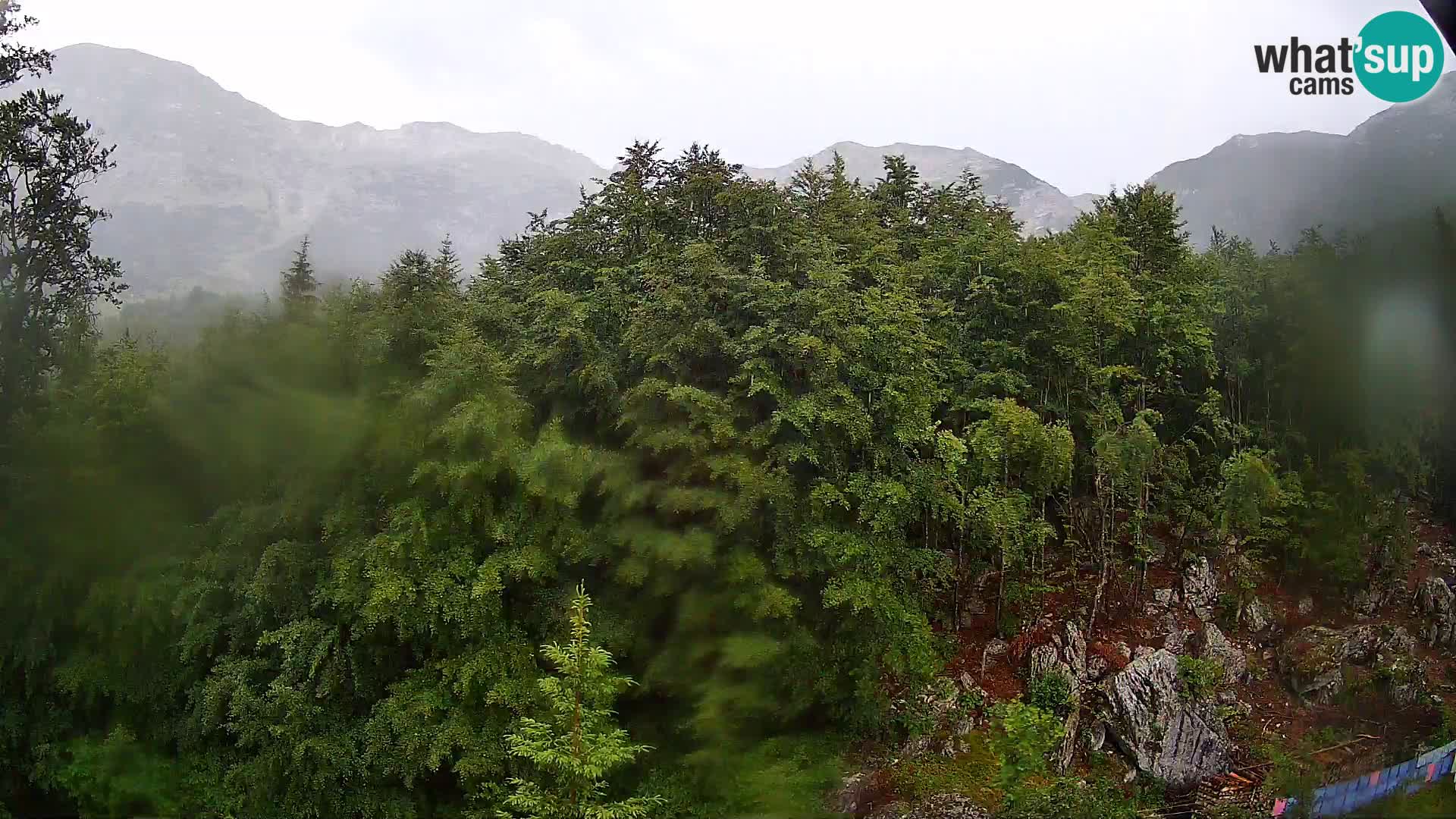 PLANINA RAZOR kamera (1315) | pogled na Vogel in Globoko