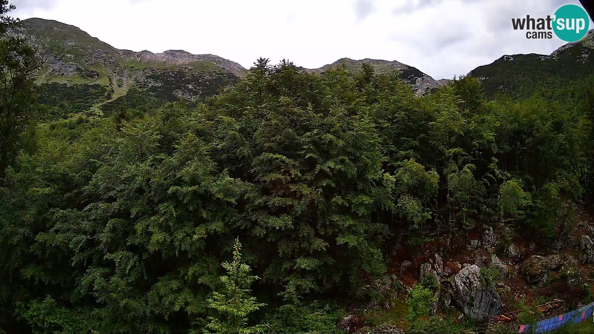 Cámara web PLANINA RAZOR (1315) | vista a Vogel y Globoko