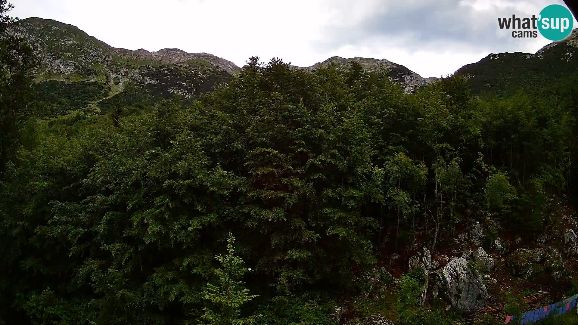 PLANINA RAZOR webcam (1315) | view to Vogel and Globoko