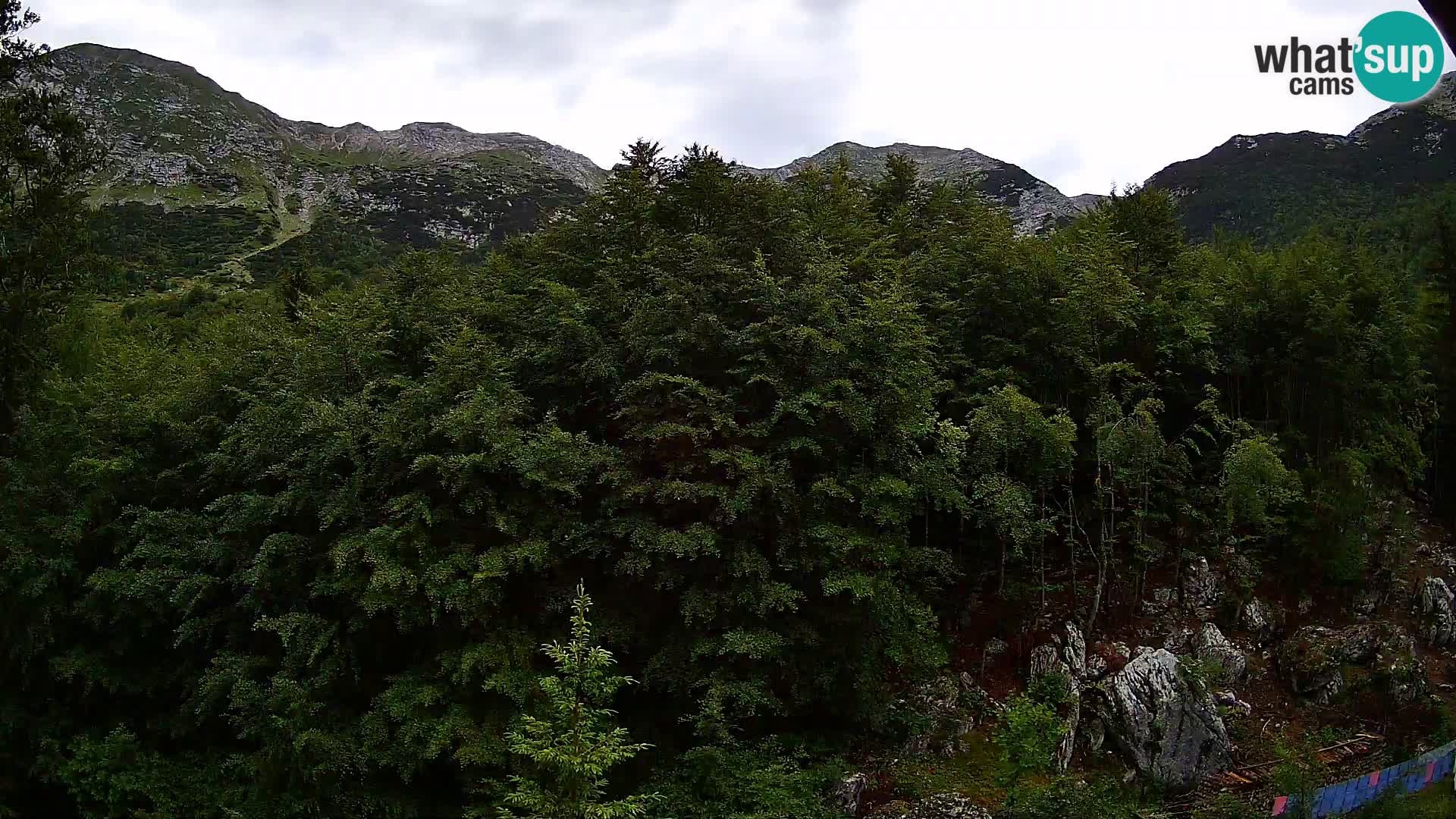 Livecam PLANINA RAZOR (1315) | vue sur Vogel et Globoko
