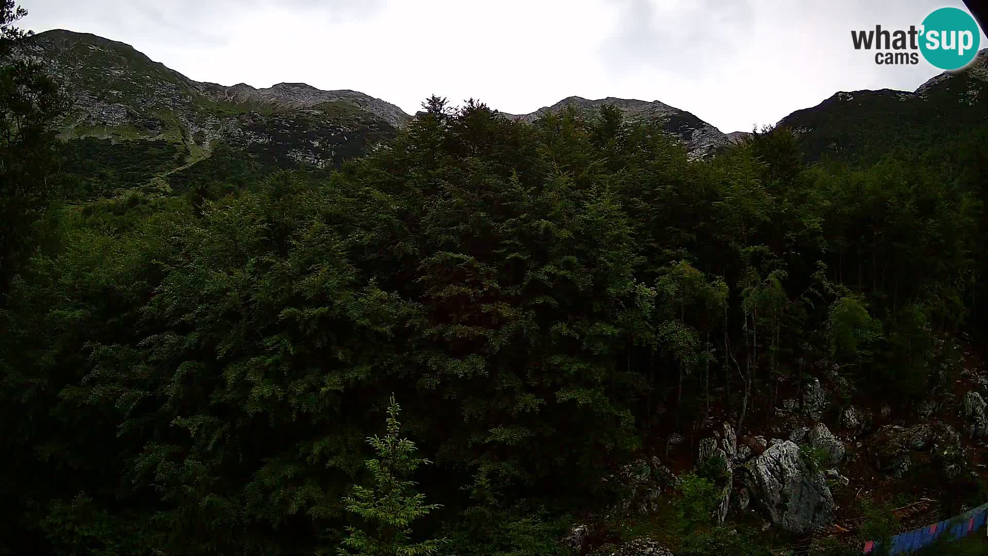 Cámara web PLANINA RAZOR (1315) | vista a Vogel y Globoko