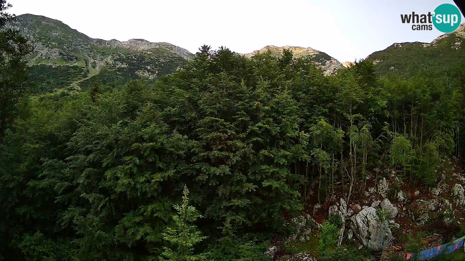 PLANINA RAZOR Live Cam (1315) | vista su Vogel e Globoko