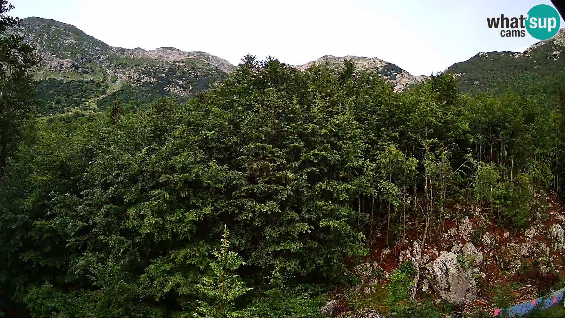PLANINA RAZOR kamera (1315) | pogled na Vogel in Globoko