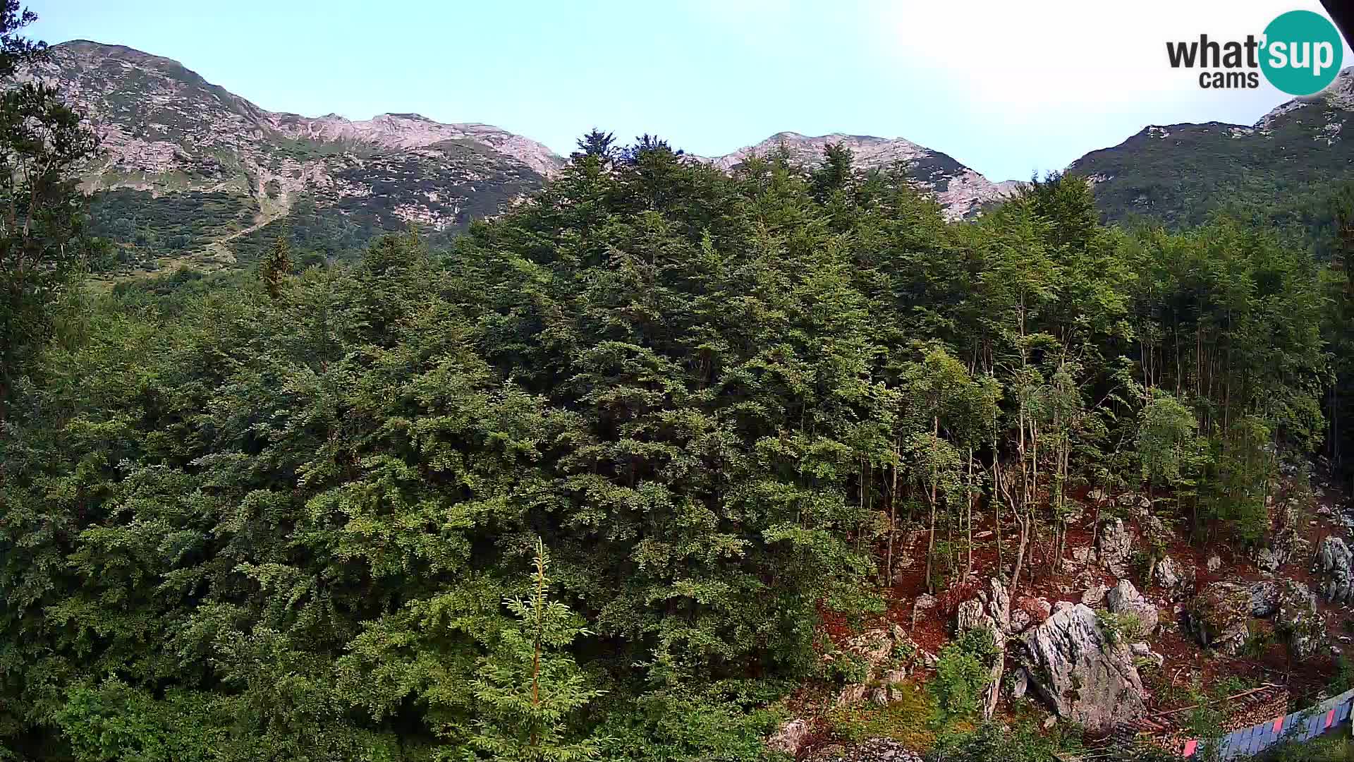 Cámara web PLANINA RAZOR (1315) | vista a Vogel y Globoko