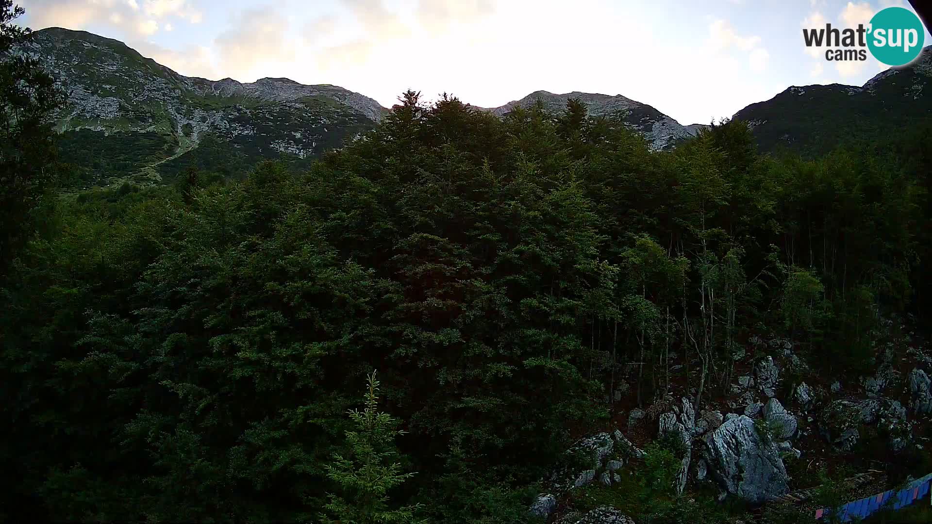 PLANINA RAZOR kamera (1315) | pogled na Vogel in Globoko