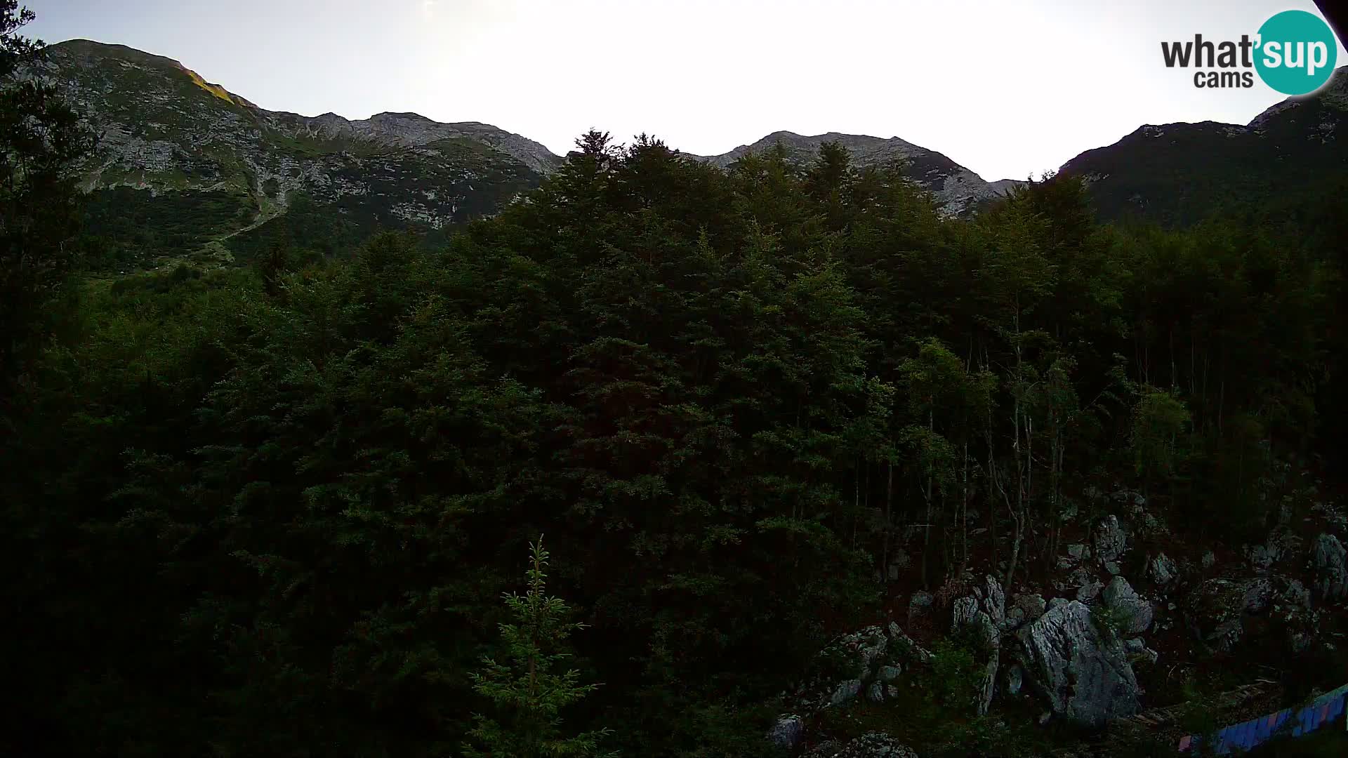 Webcam PLANINA RAZOR (1315) | Blick auf Vogel und Globoko