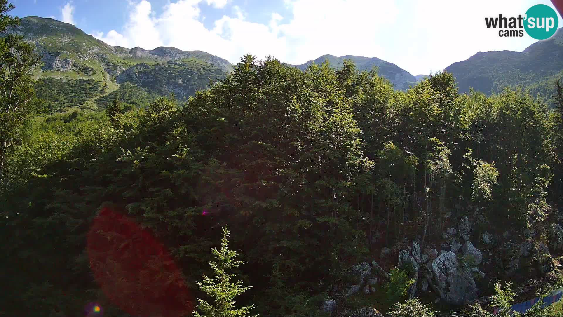 Livecam PLANINA RAZOR (1315) | vue sur Vogel et Globoko