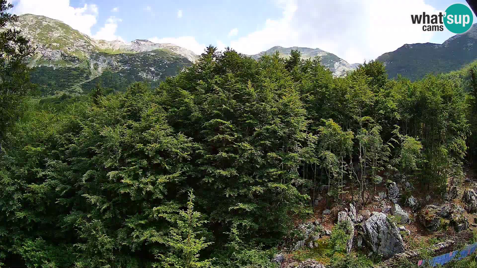 Cámara web PLANINA RAZOR (1315) | vista a Vogel y Globoko