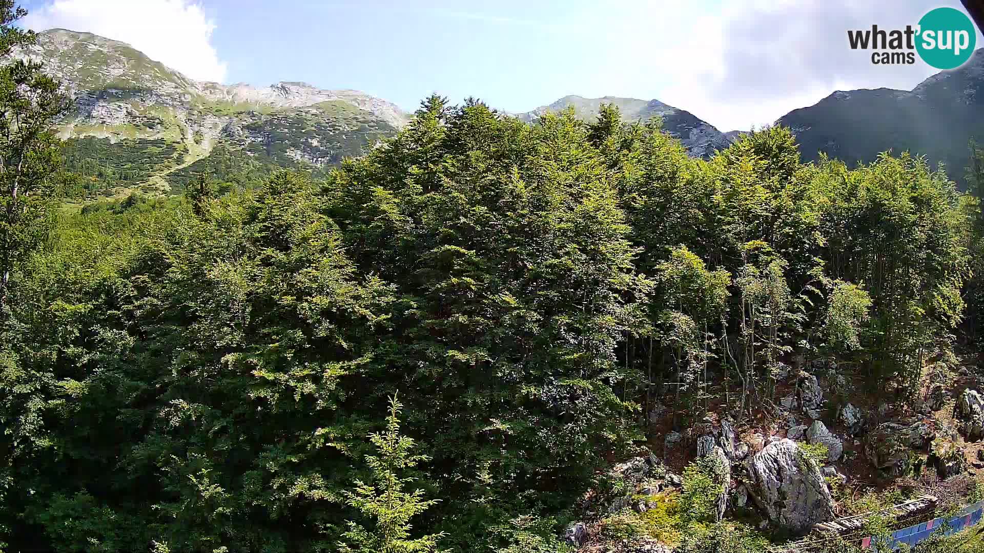 Cámara web PLANINA RAZOR (1315) | vista a Vogel y Globoko