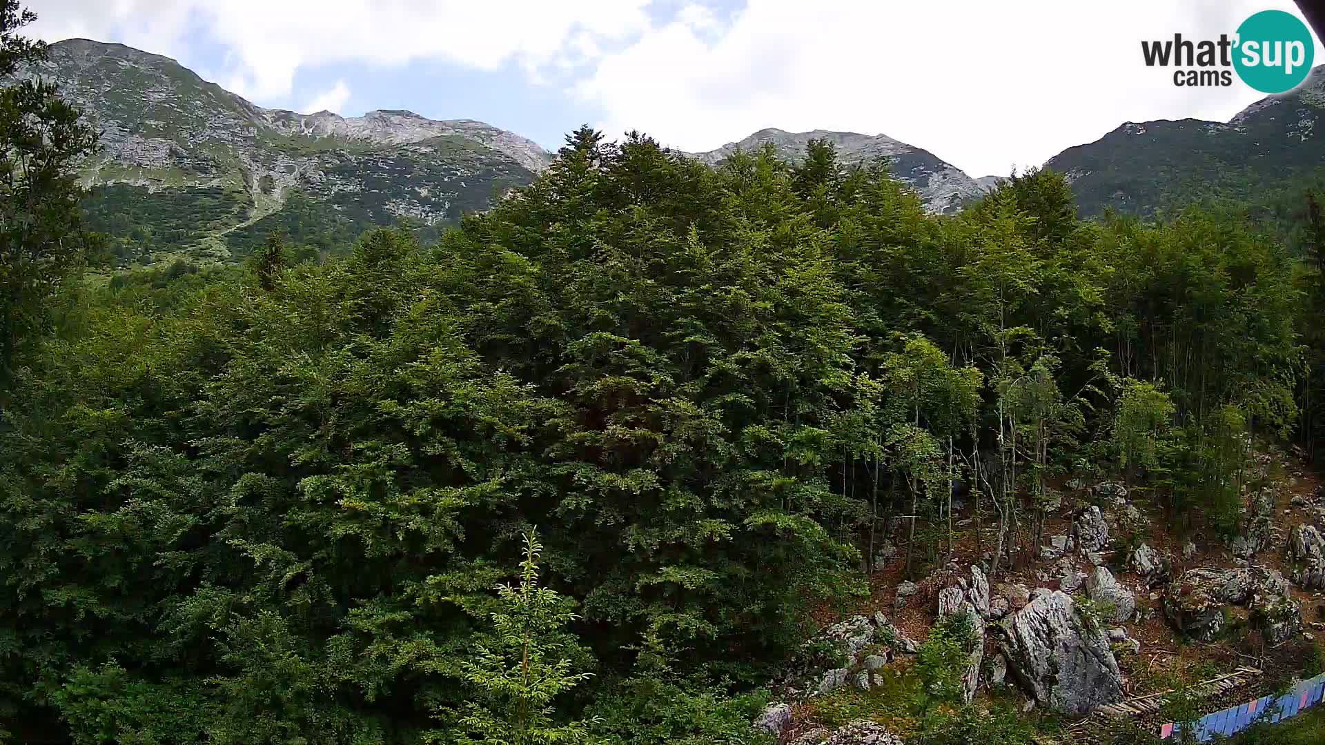 Webcam PLANINA RAZOR (1315) | Blick auf Vogel und Globoko