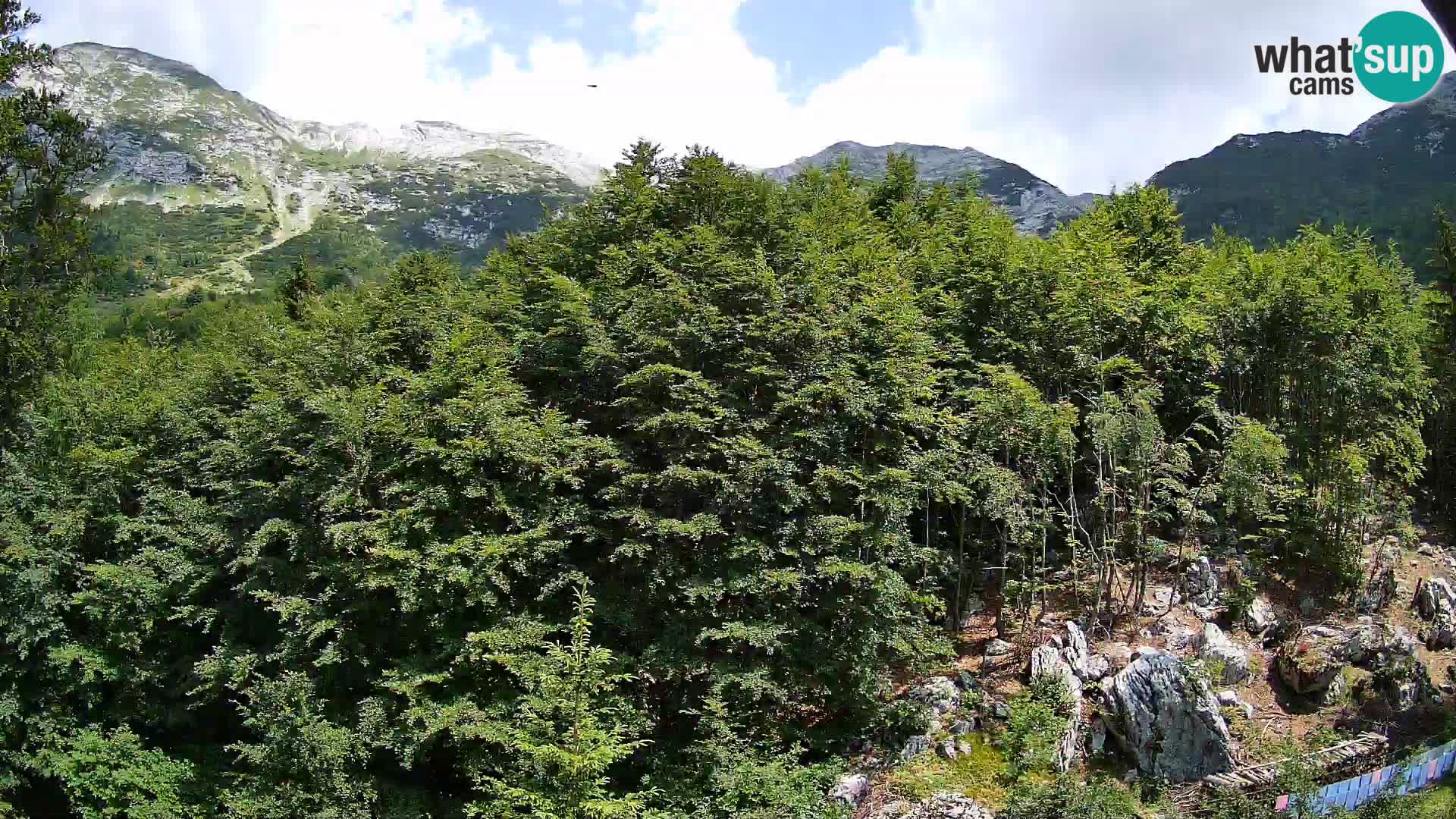 Livecam PLANINA RAZOR (1315) | vue sur Vogel et Globoko