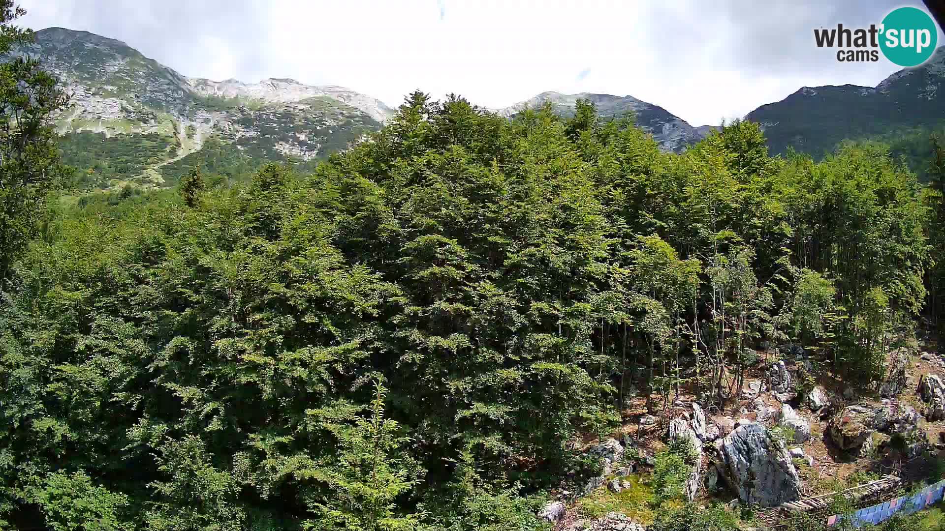 Webcam PLANINA RAZOR (1315) | Blick auf Vogel und Globoko