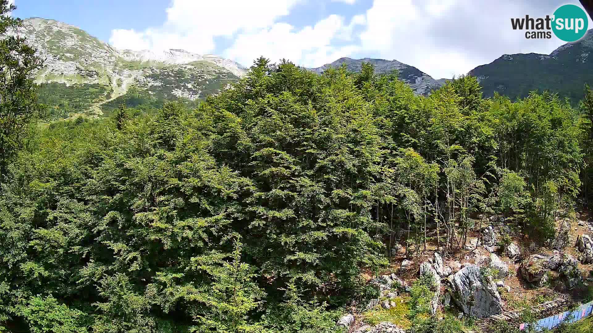 Livecam PLANINA RAZOR (1315) | vue sur Vogel et Globoko