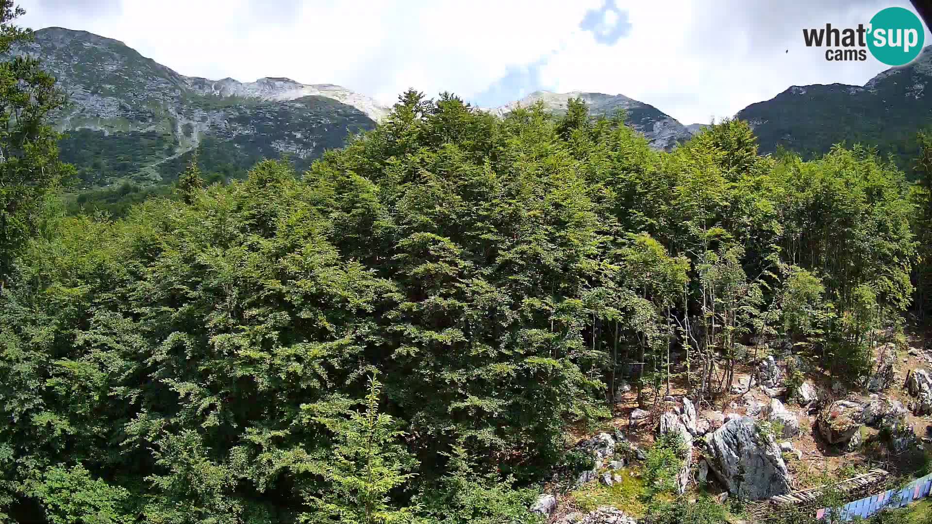 PLANINA RAZOR kamera (1315) | pogled na Vogel in Globoko