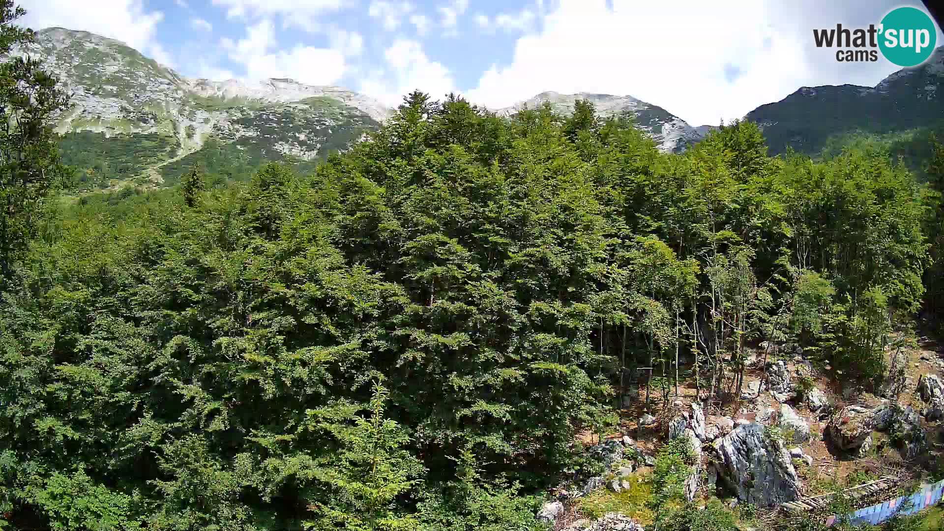 Webcam PLANINA RAZOR (1315) | Blick auf Vogel und Globoko