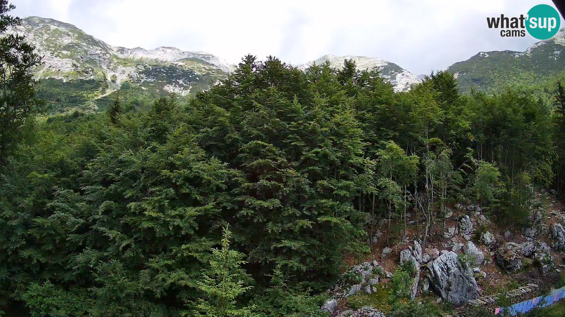 PLANINA RAZOR Live Cam (1315) | vista su Vogel e Globoko