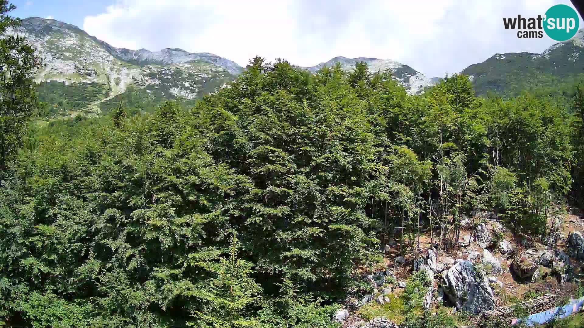 PLANINA RAZOR kamera (1315) | pogled na Vogel in Globoko