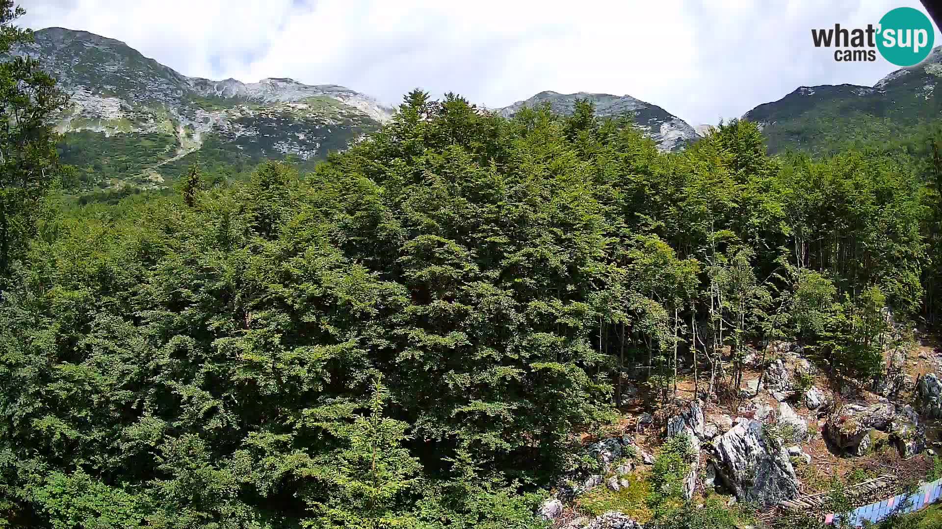 PLANINA RAZOR web kamera (1315) | pogled na Vogel i Globoko