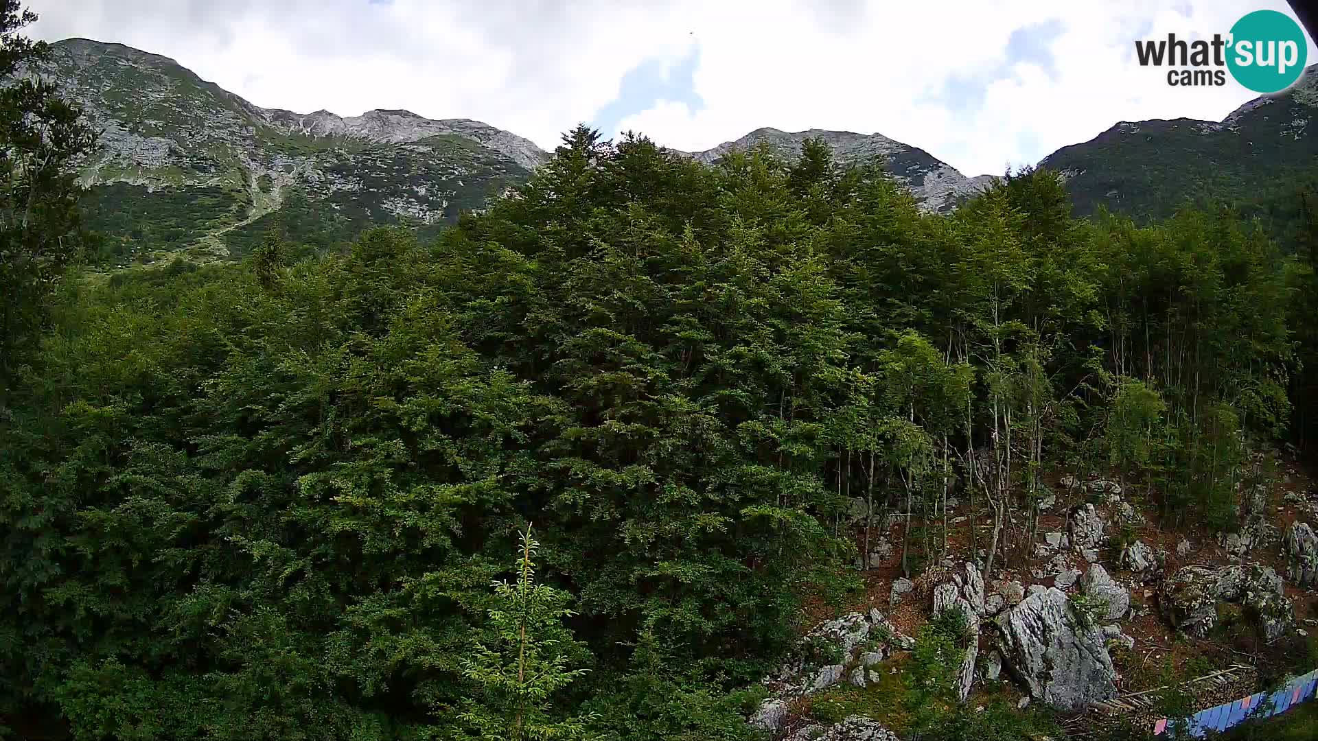 Webcam PLANINA RAZOR (1315) | Blick auf Vogel und Globoko