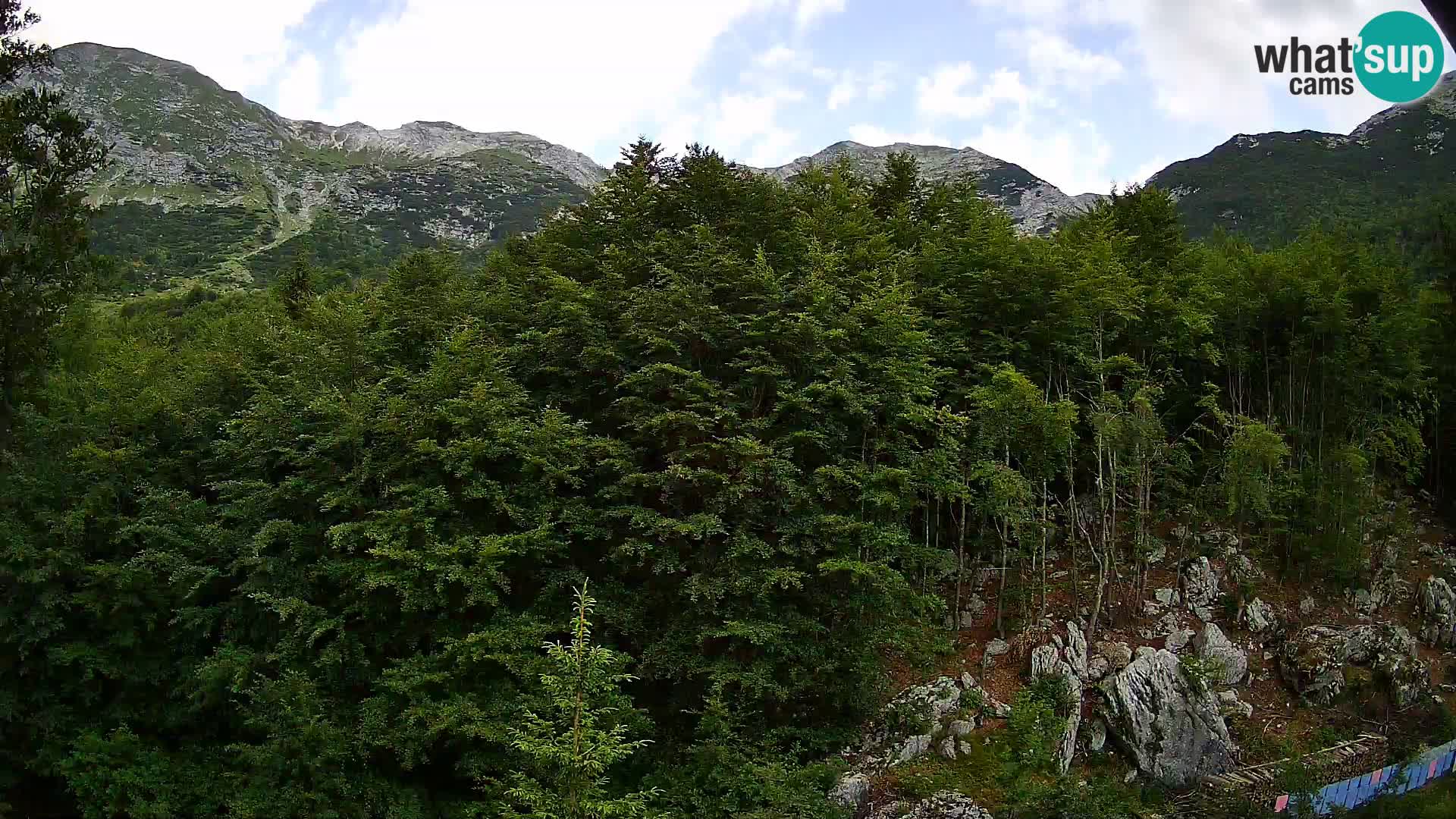 Cámara web PLANINA RAZOR (1315) | vista a Vogel y Globoko