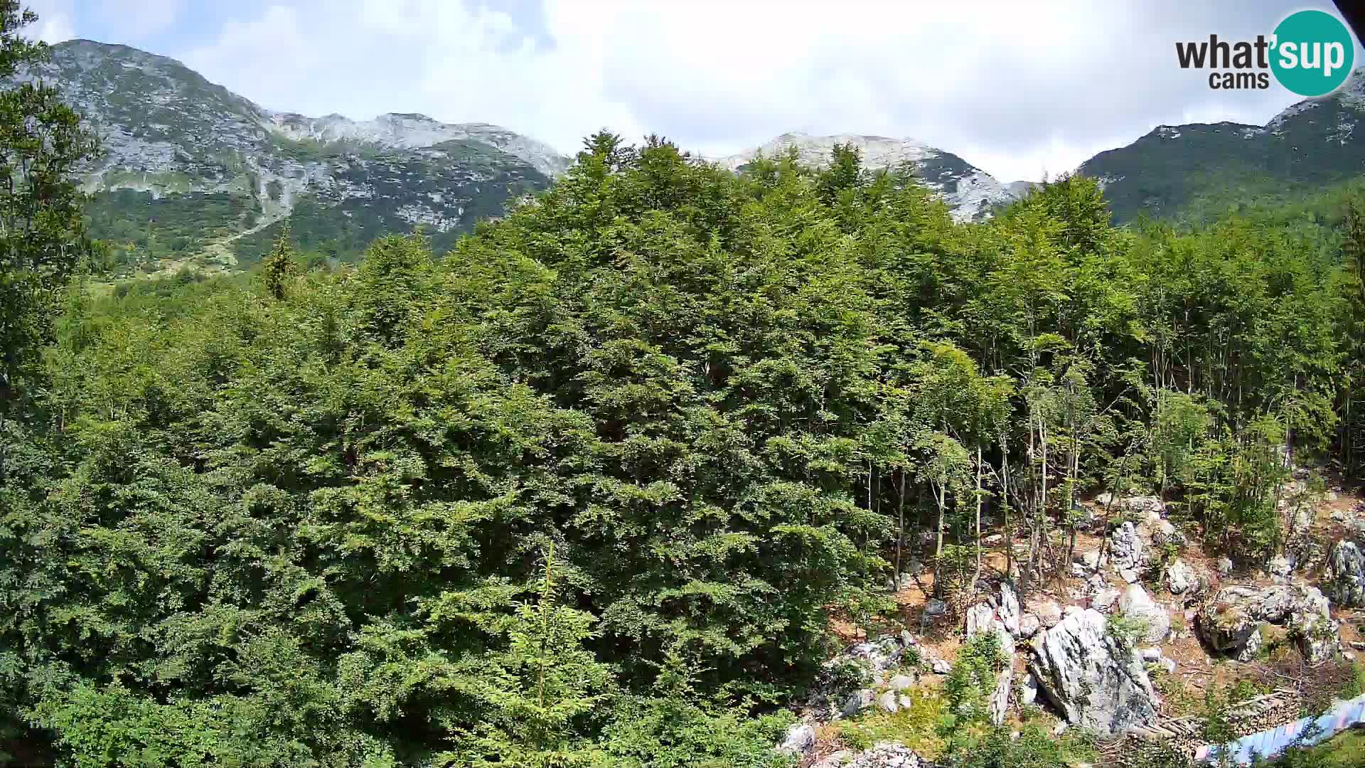 Webcam PLANINA RAZOR (1315) | Blick auf Vogel und Globoko