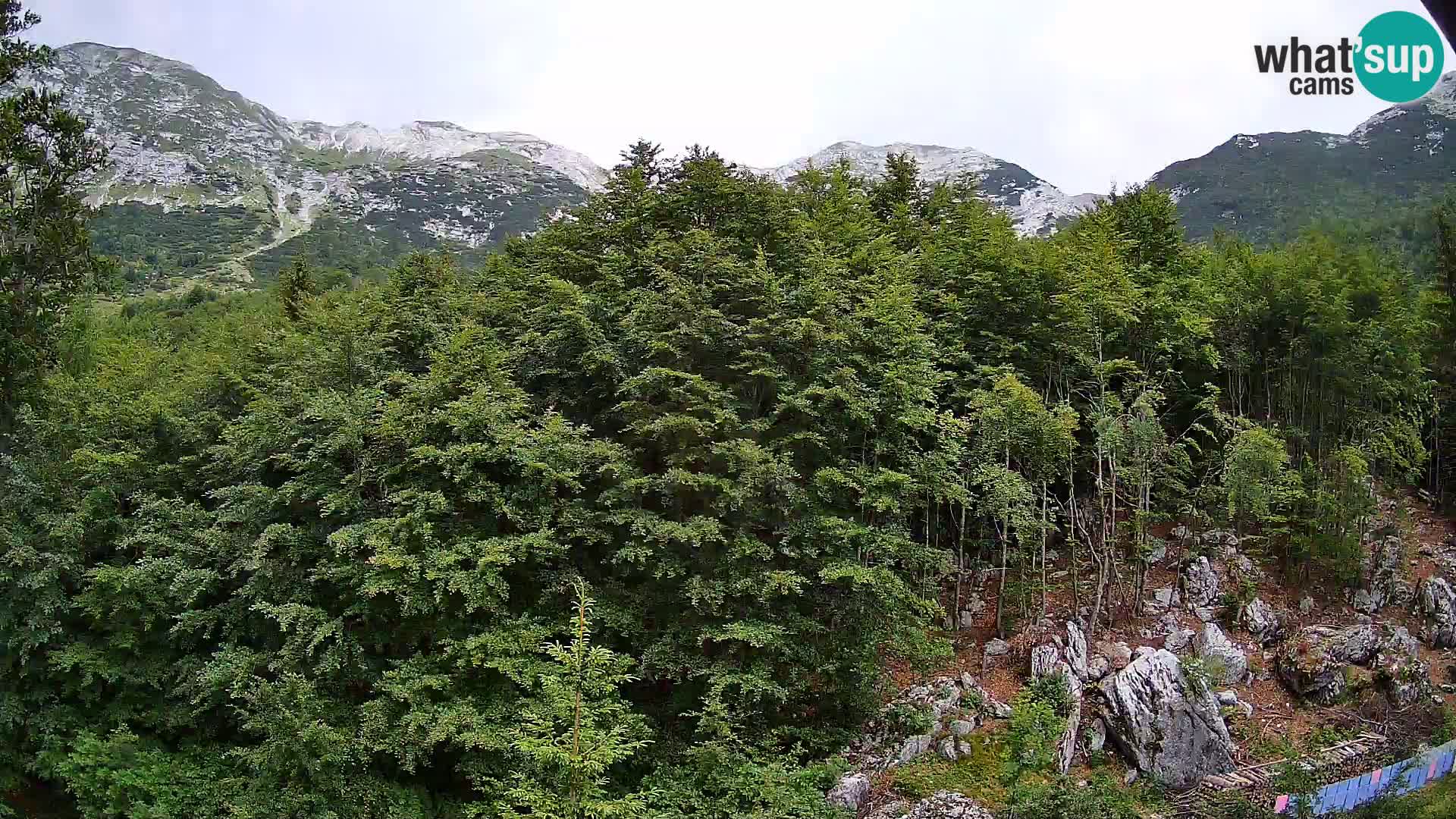 PLANINA RAZOR web kamera (1315) | pogled na Vogel i Globoko