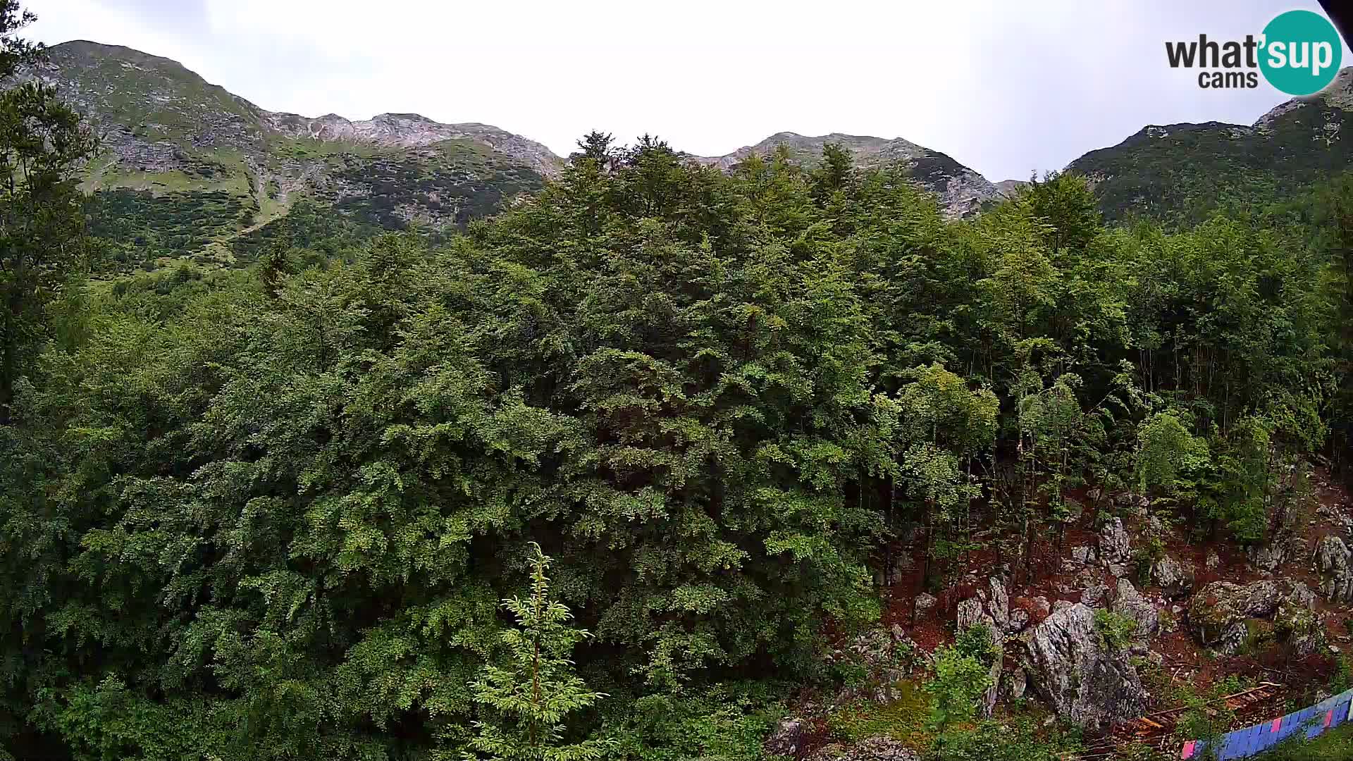 PLANINA RAZOR webcam (1315) | view to Vogel and Globoko