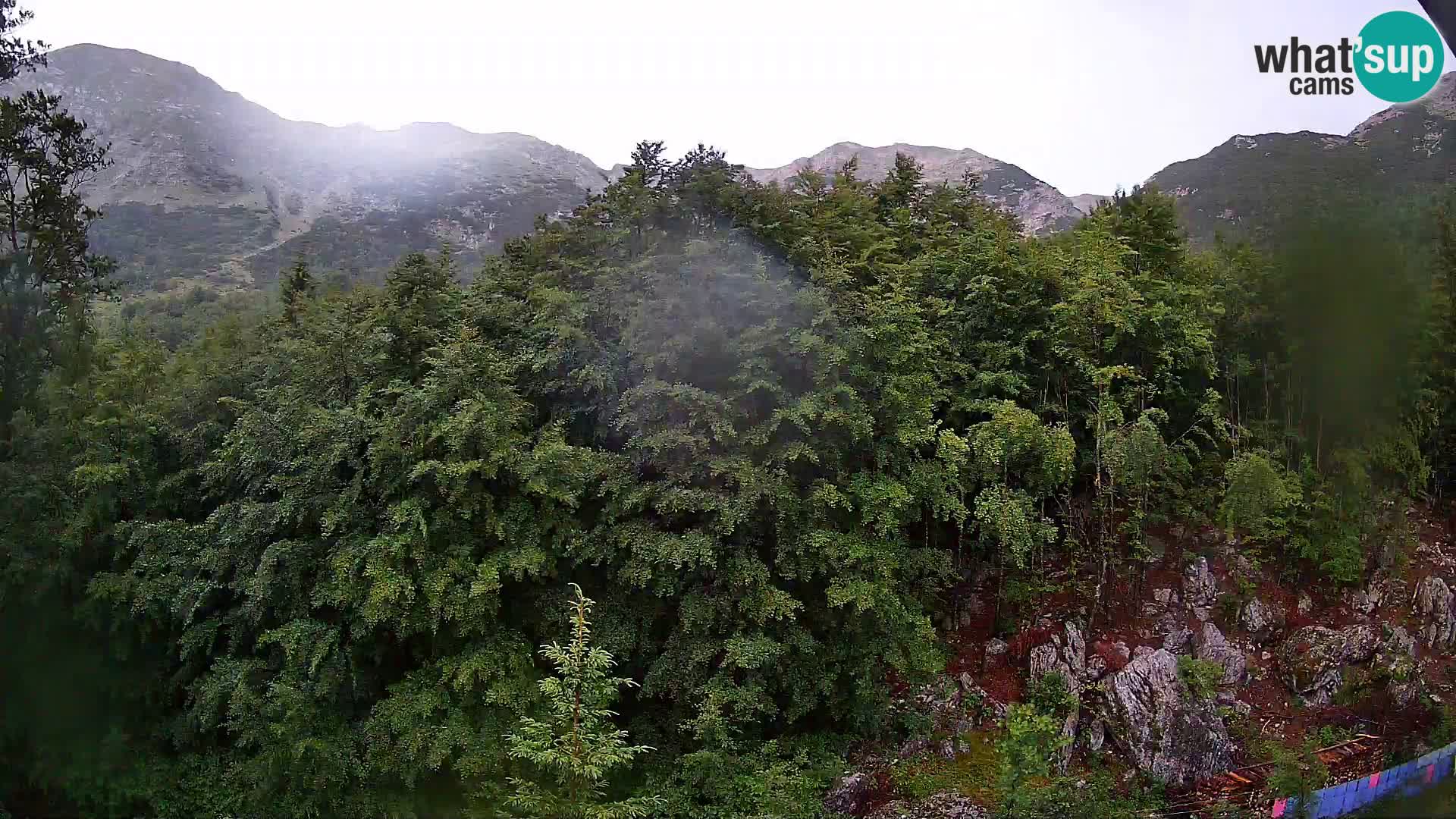 PLANINA RAZOR web kamera (1315) | pogled na Vogel i Globoko