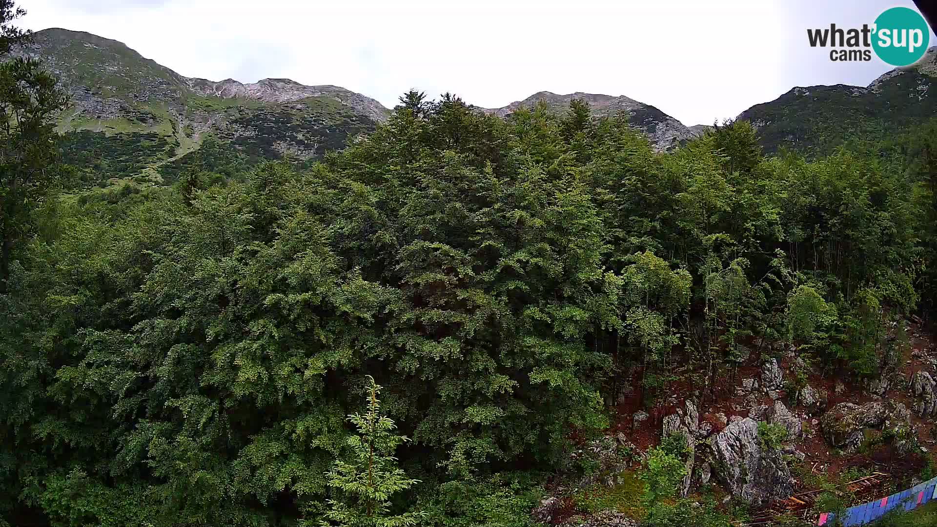 Webcam PLANINA RAZOR (1315) | Blick auf Vogel und Globoko