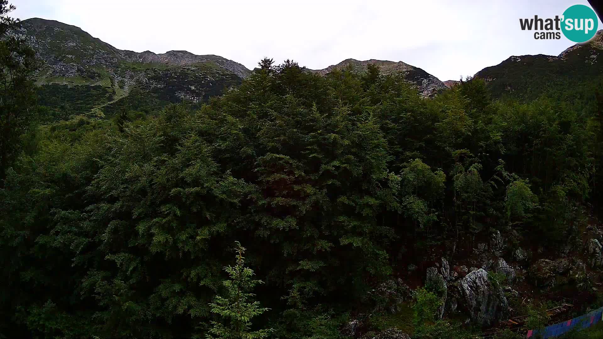 Webcam PLANINA RAZOR (1315) | Blick auf Vogel und Globoko