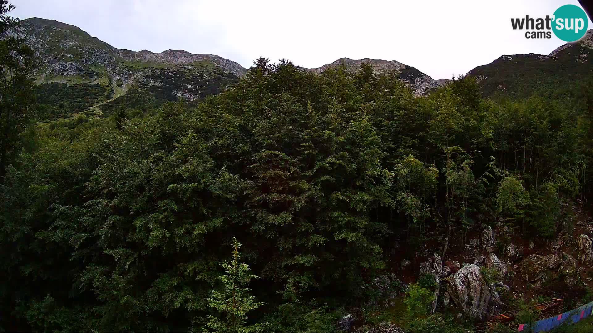Webcam PLANINA RAZOR (1315) | Blick auf Vogel und Globoko