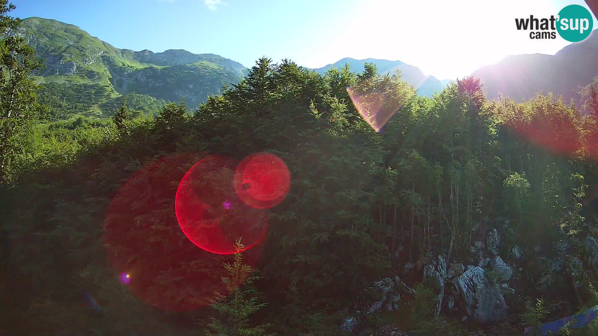 Livecam PLANINA RAZOR (1315) | vue sur Vogel et Globoko