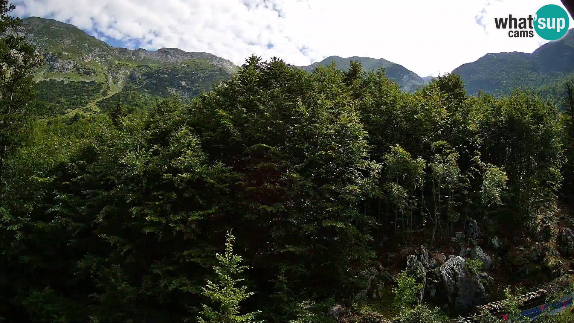 PLANINA RAZOR kamera (1315) | pogled na Vogel in Globoko