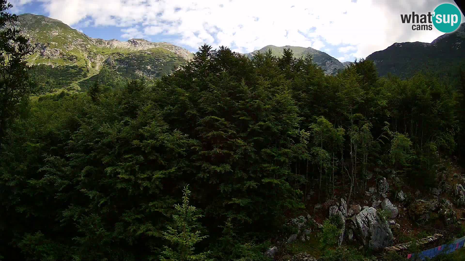 Livecam PLANINA RAZOR (1315) | vue sur Vogel et Globoko