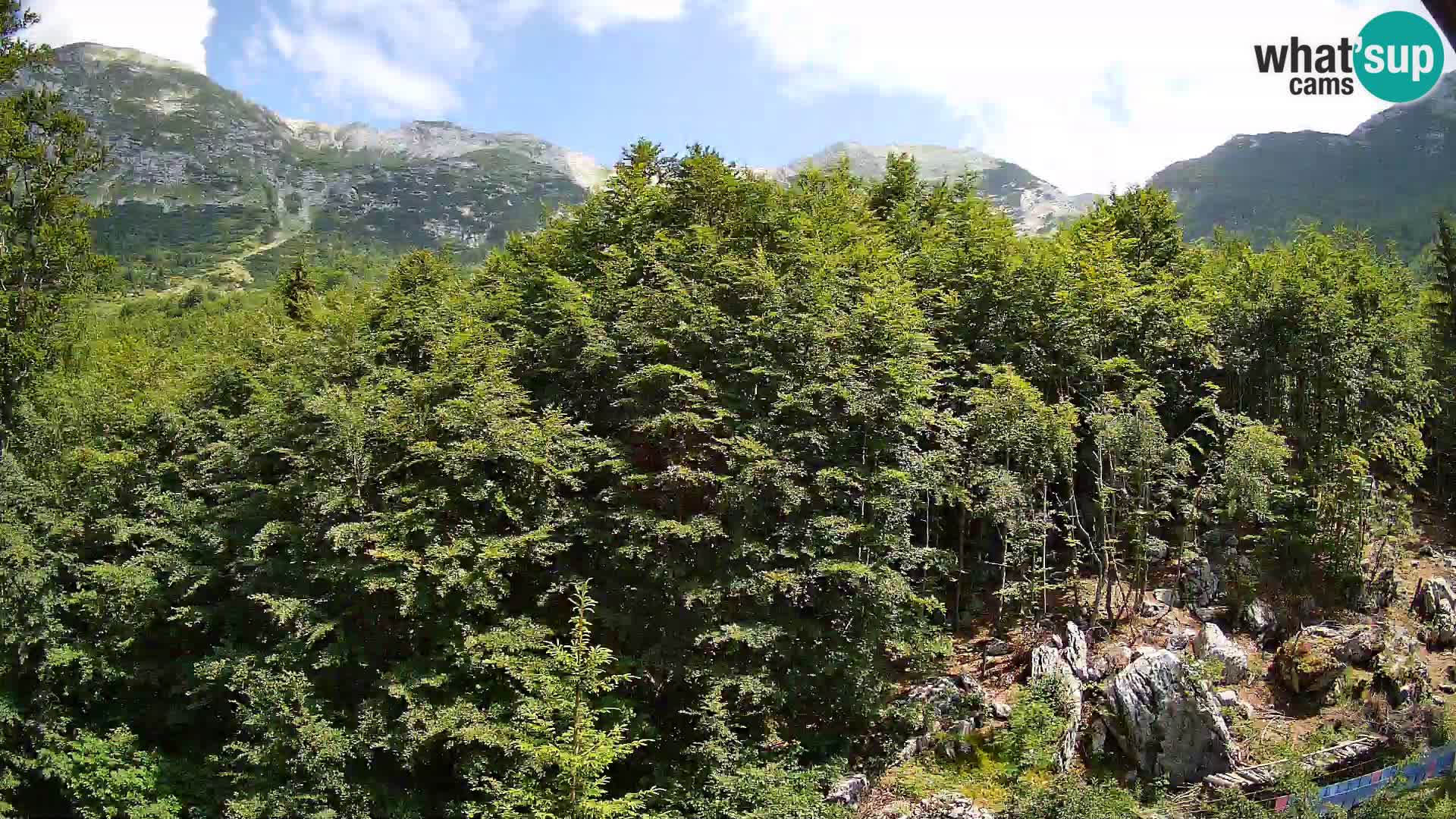 Livecam PLANINA RAZOR (1315) | vue sur Vogel et Globoko