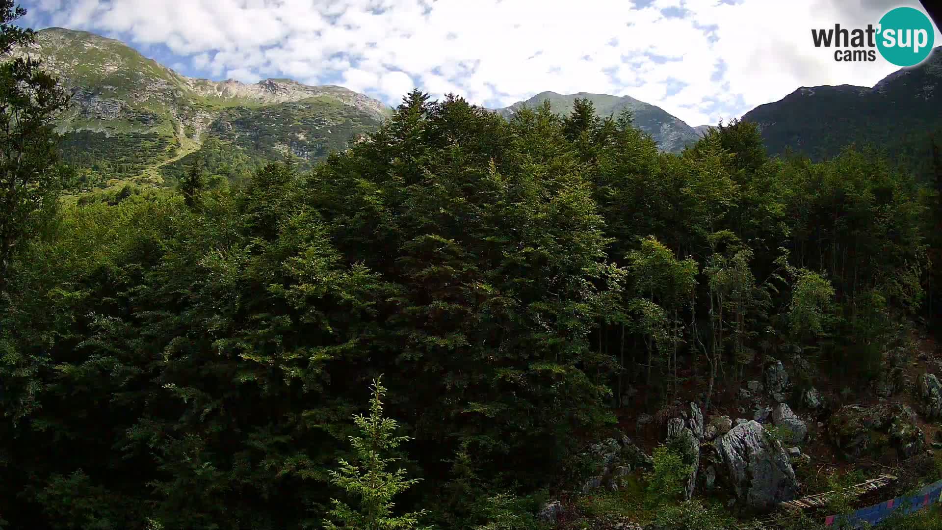 Livecam PLANINA RAZOR (1315) | vue sur Vogel et Globoko