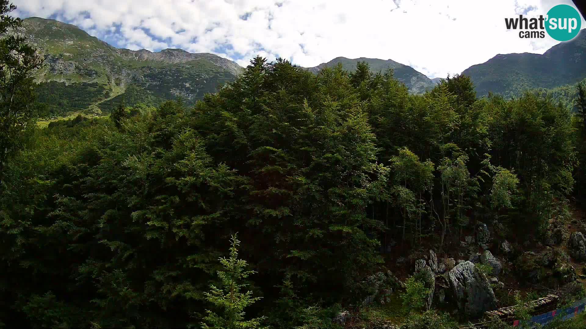 Livecam PLANINA RAZOR (1315) | vue sur Vogel et Globoko