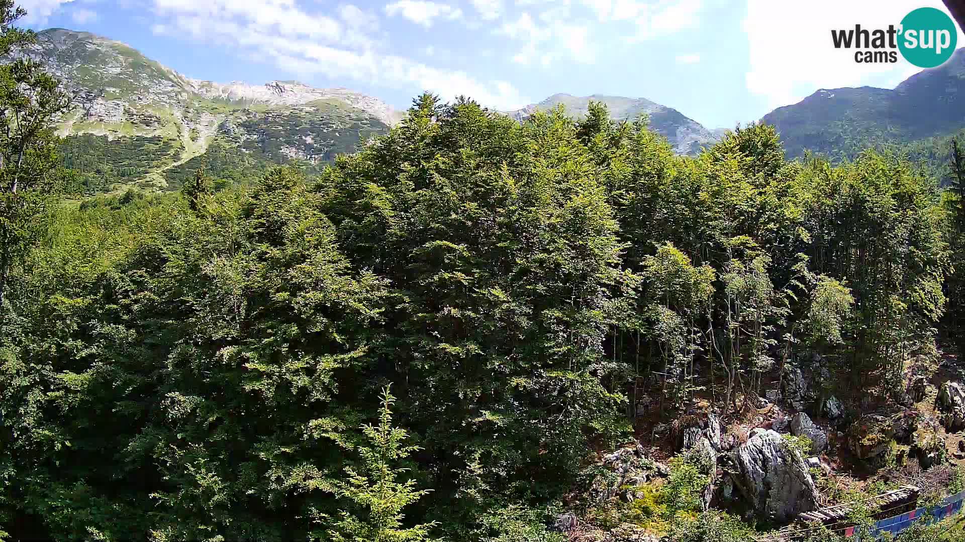 PLANINA RAZOR webcam (1315) | view to Vogel and Globoko
