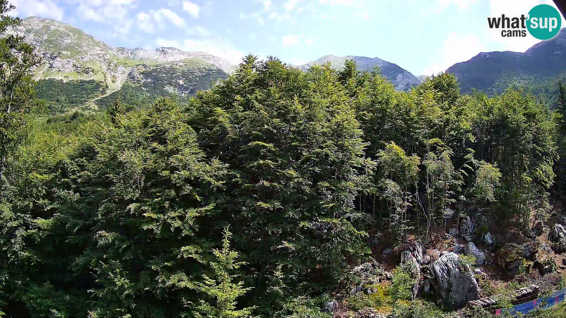 Webcam PLANINA RAZOR (1315) | Blick auf Vogel und Globoko