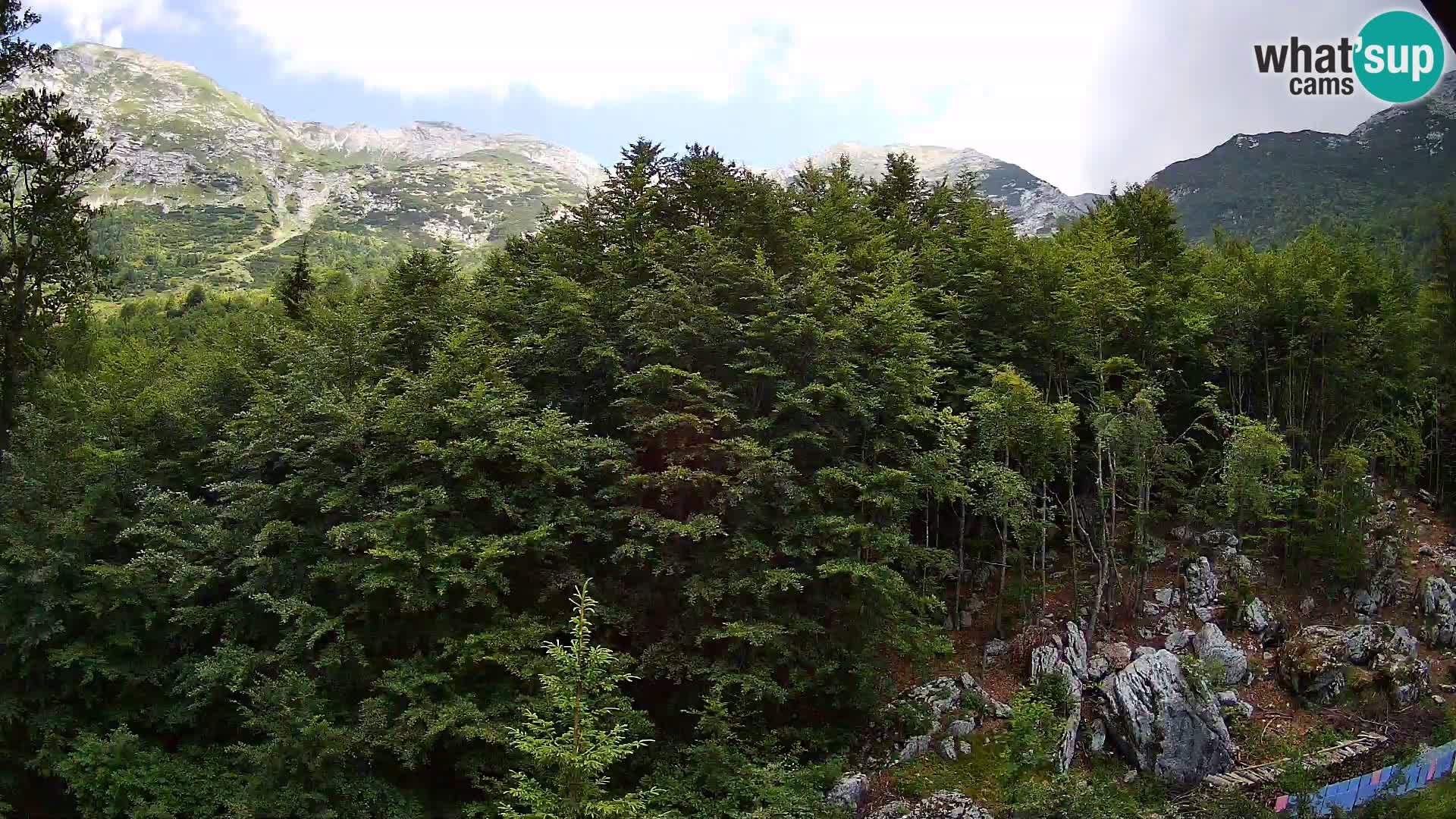 Webcam PLANINA RAZOR (1315) | Blick auf Vogel und Globoko