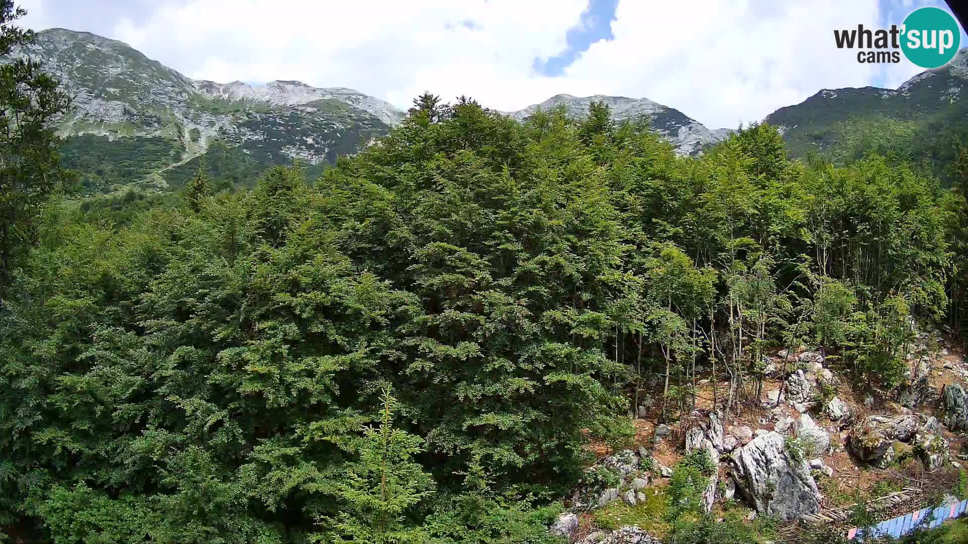 Webcam PLANINA RAZOR (1315) | Blick auf Vogel und Globoko