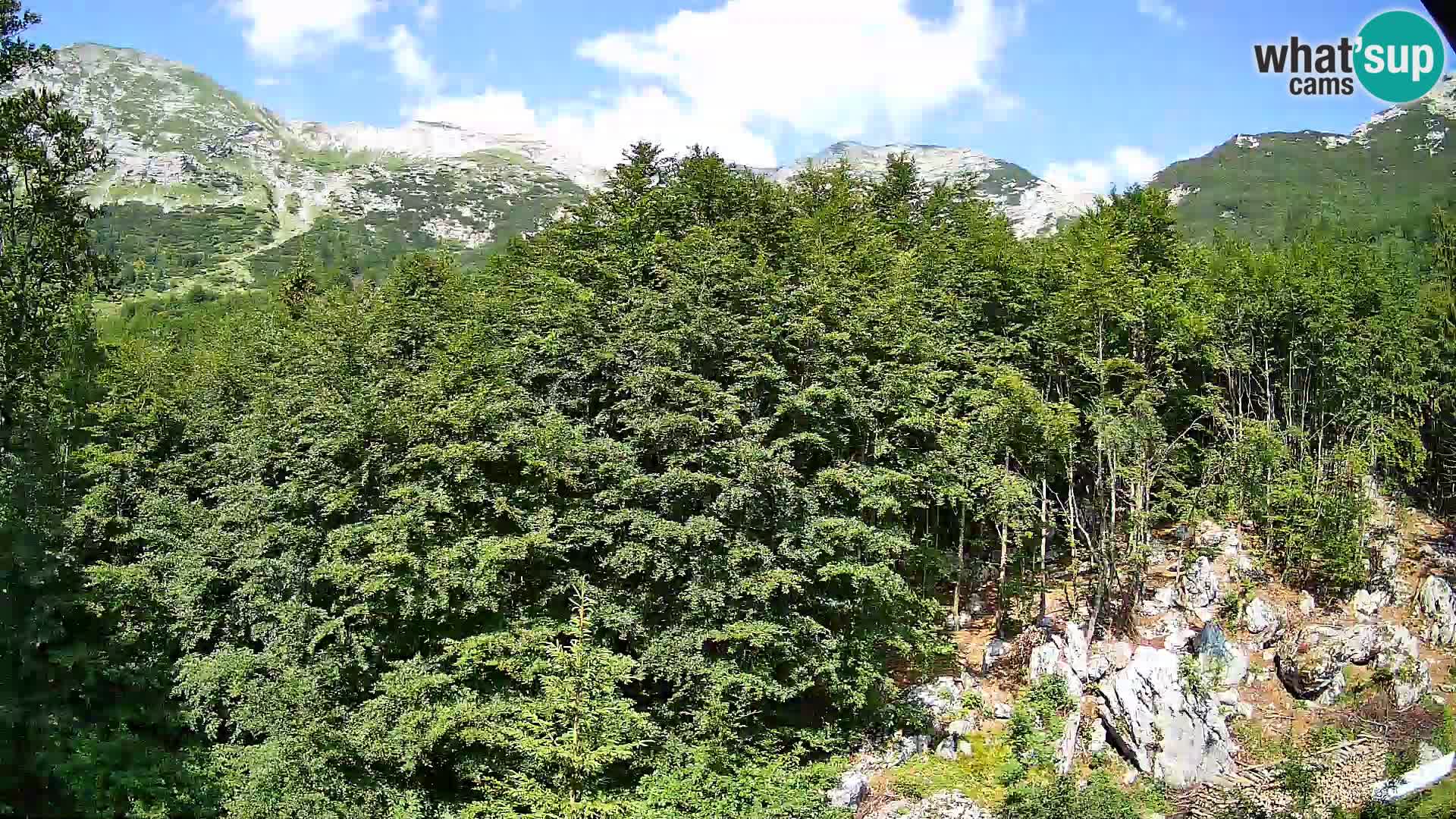 PLANINA RAZOR web kamera (1315) | pogled na Vogel i Globoko