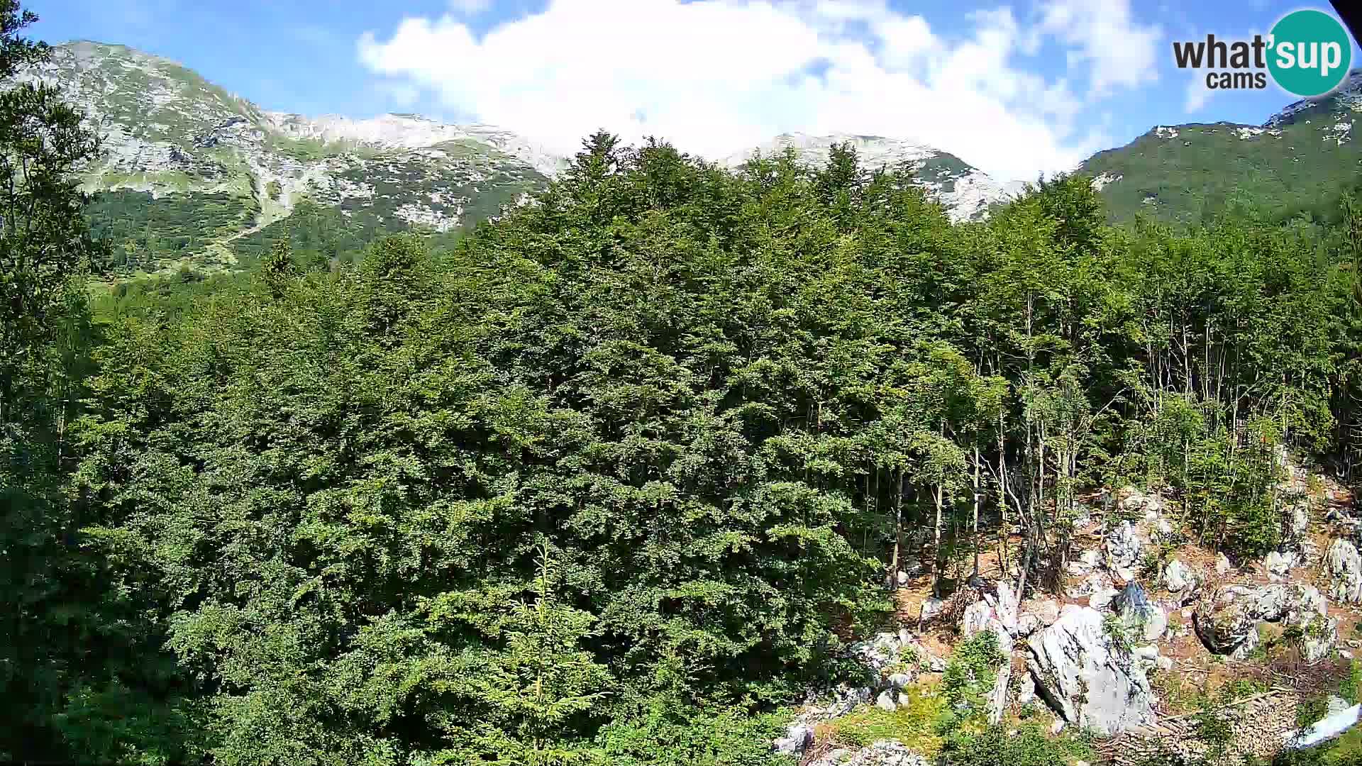 Webcam PLANINA RAZOR (1315) | Blick auf Vogel und Globoko