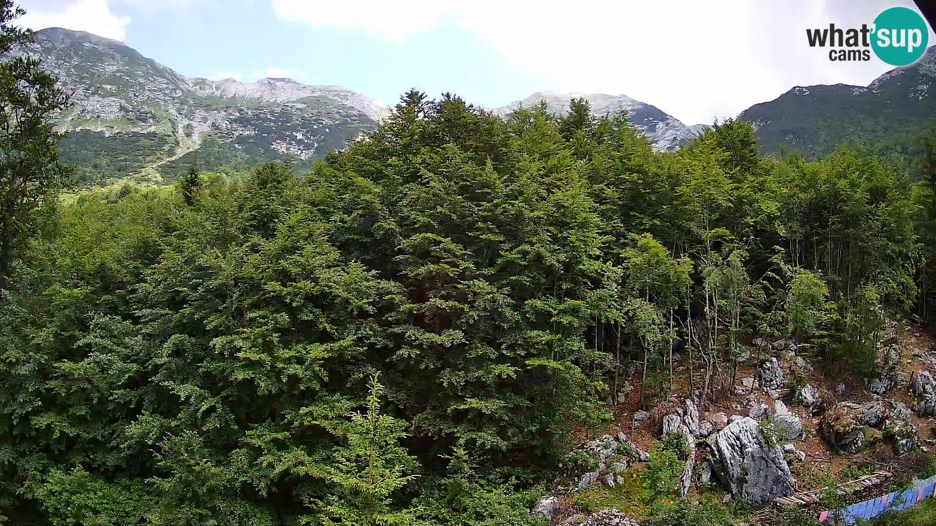 Cámara web PLANINA RAZOR (1315) | vista a Vogel y Globoko