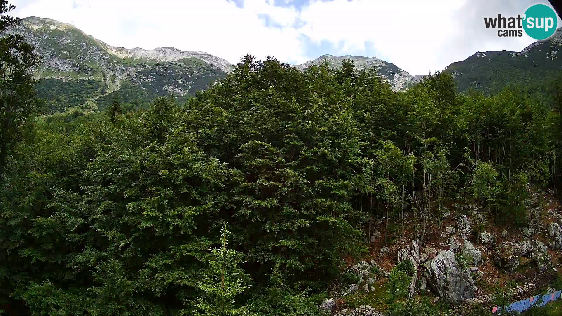 PLANINA RAZOR webcam (1315) | view to Vogel and Globoko